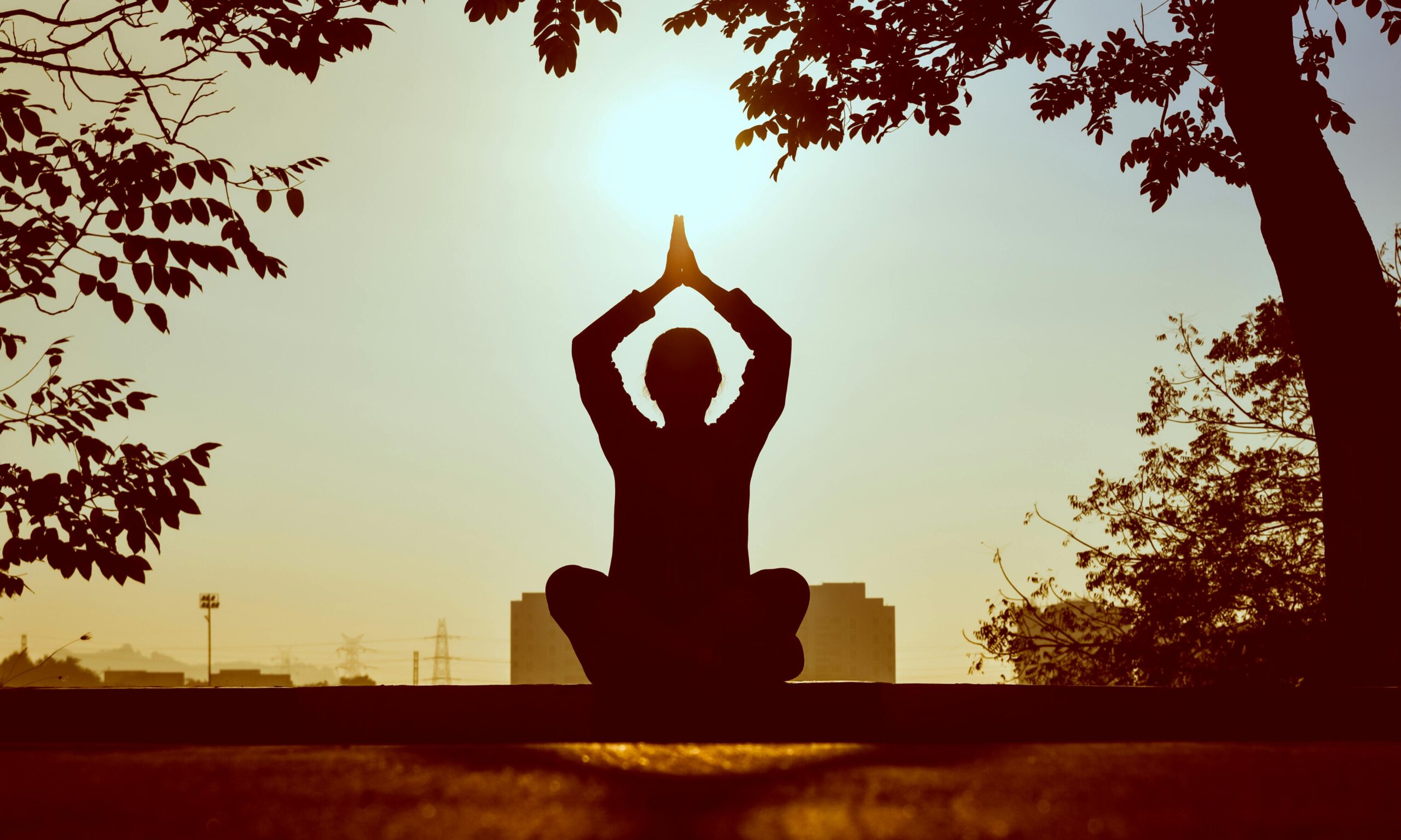 a man meditating at daytime